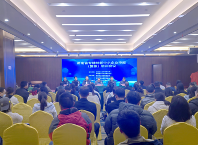 永州市工信局成功舉辦2023年專精特新中小企業申報培訓會，助力中小企業管理升級
